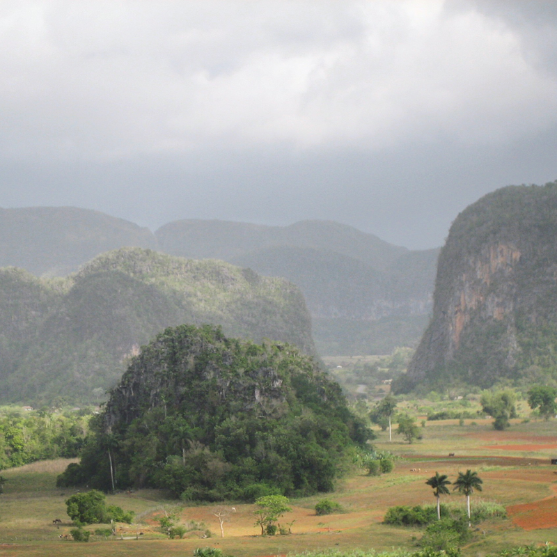 Mogote